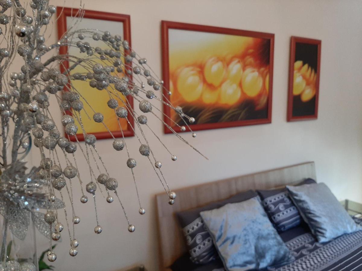 Dr Apartment Novi Sad Extérieur photo