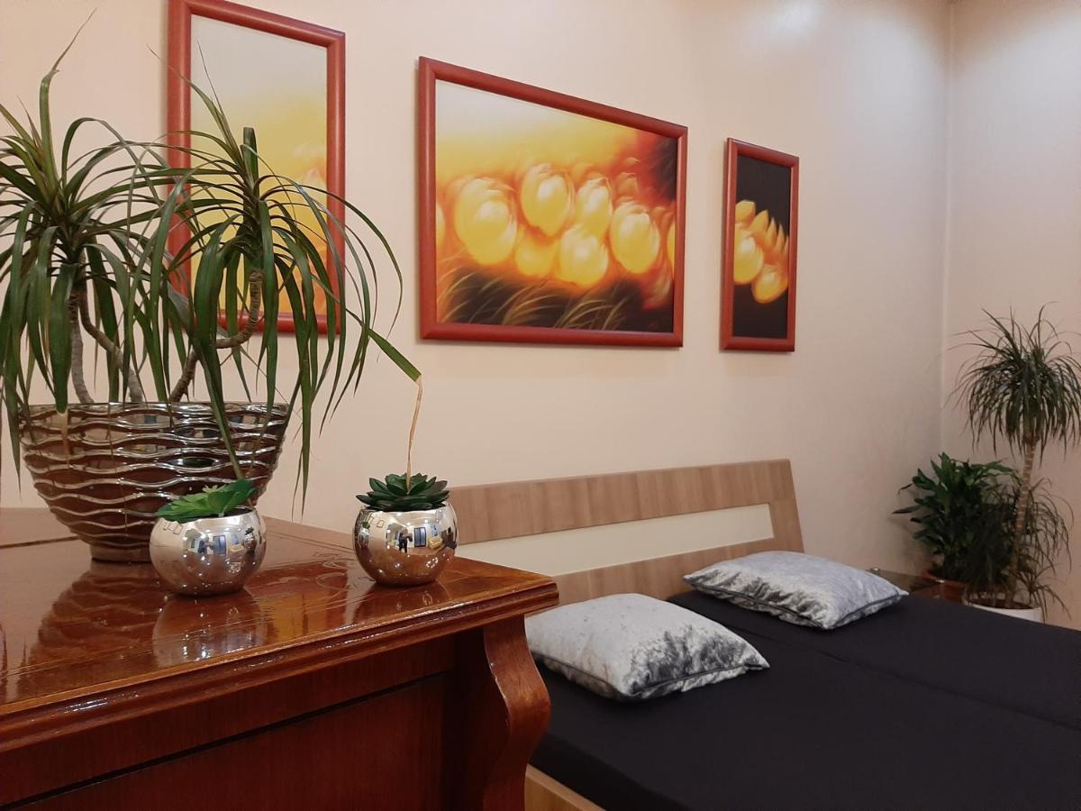 Dr Apartment Novi Sad Extérieur photo
