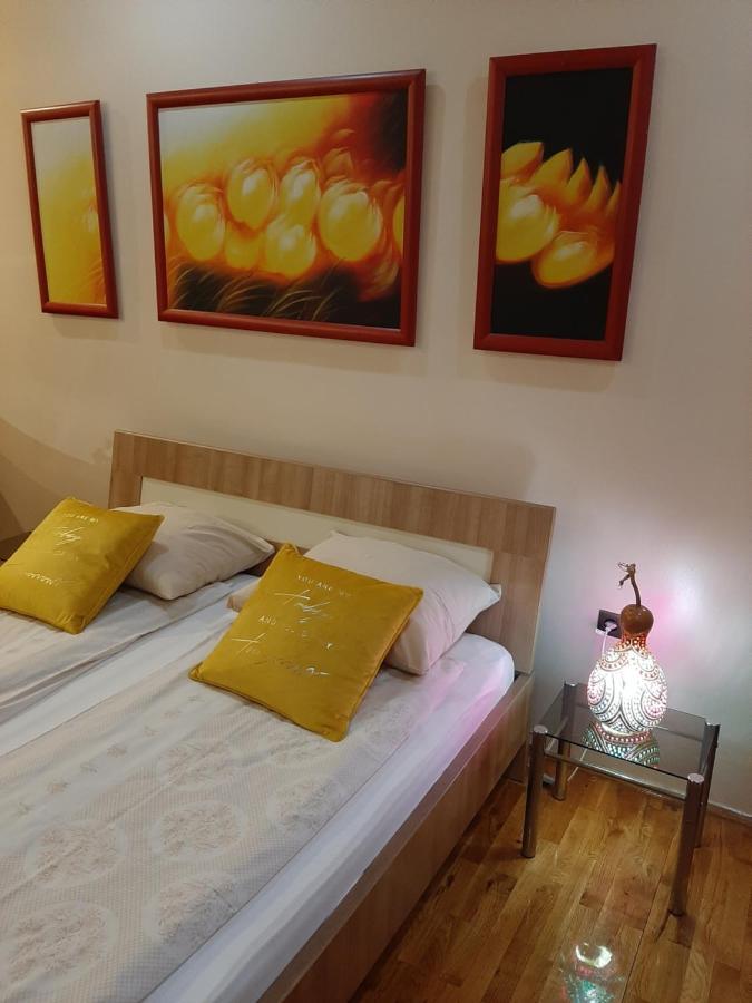 Dr Apartment Novi Sad Extérieur photo