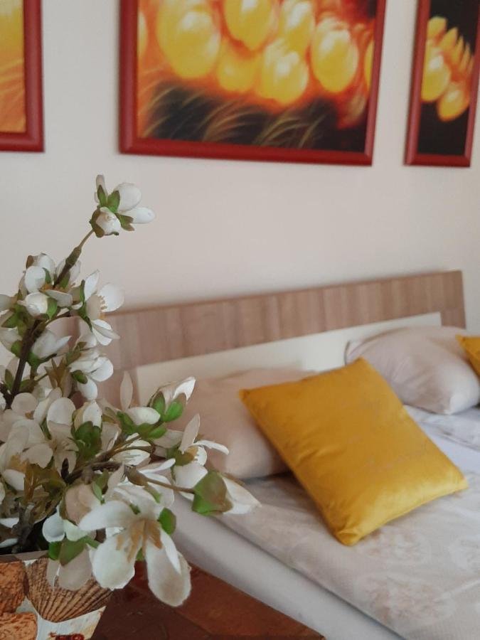 Dr Apartment Novi Sad Extérieur photo