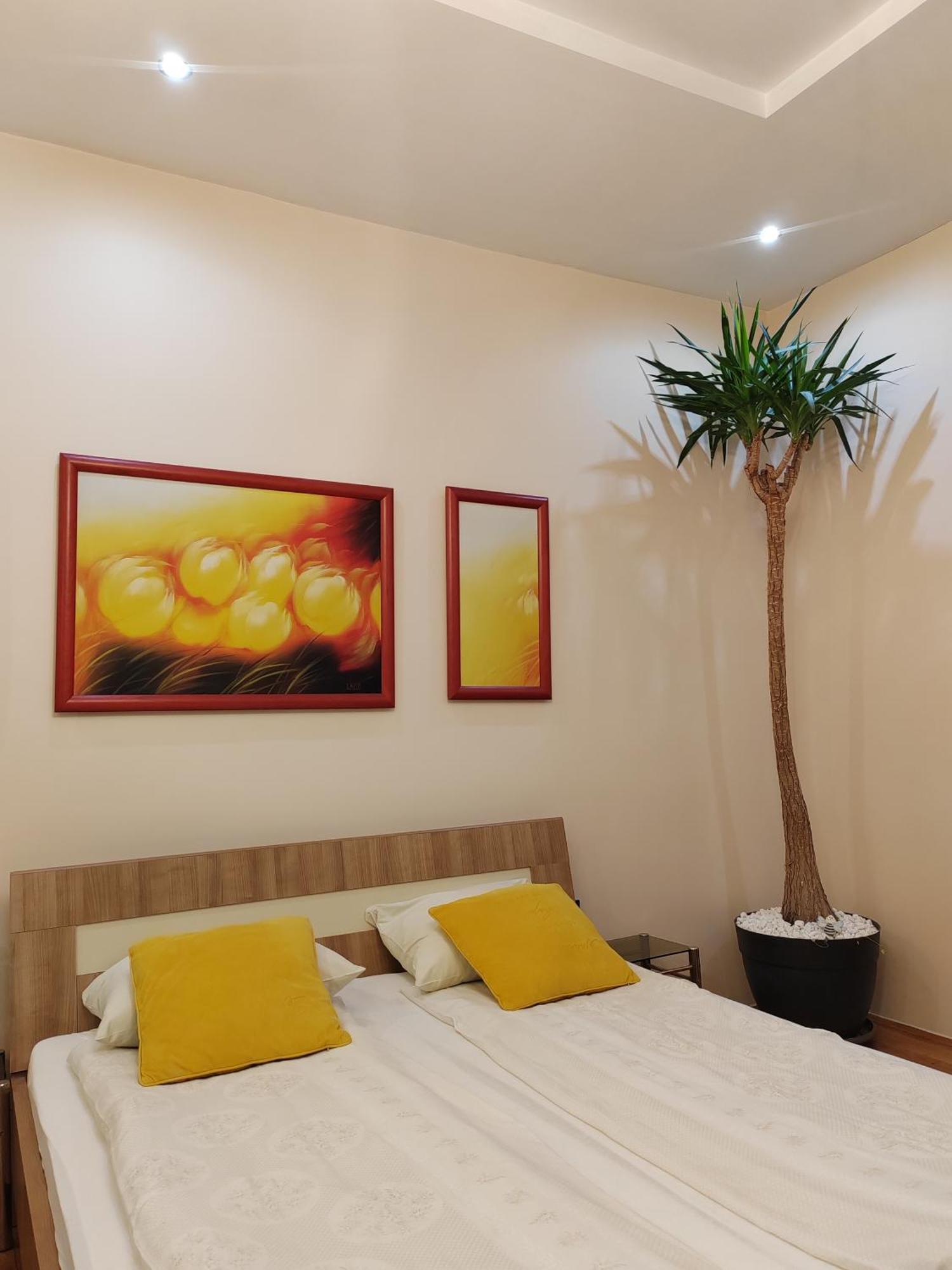 Dr Apartment Novi Sad Extérieur photo